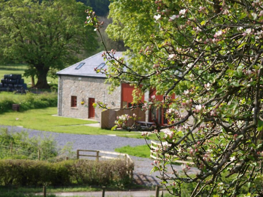 Peregrine Stable Cottage Лландовері Екстер'єр фото
