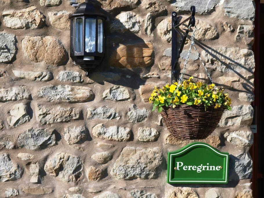 Peregrine Stable Cottage Лландовері Екстер'єр фото